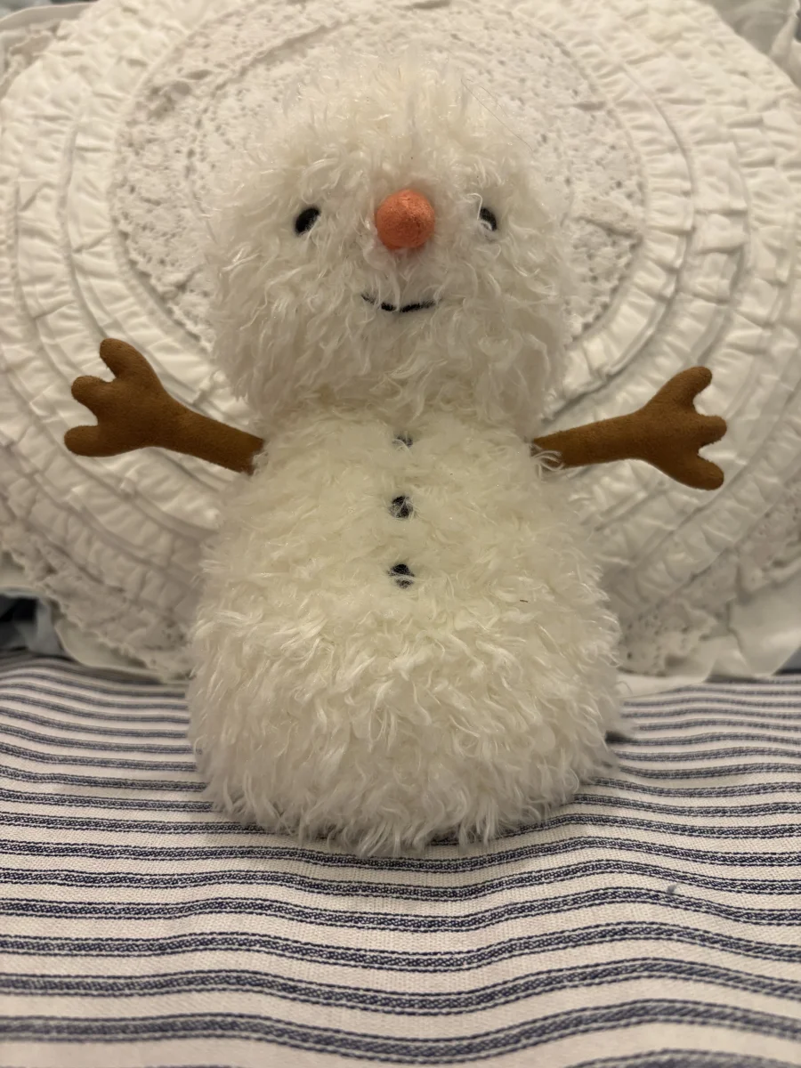 Front - Little Snowman photo by fran_pancakes