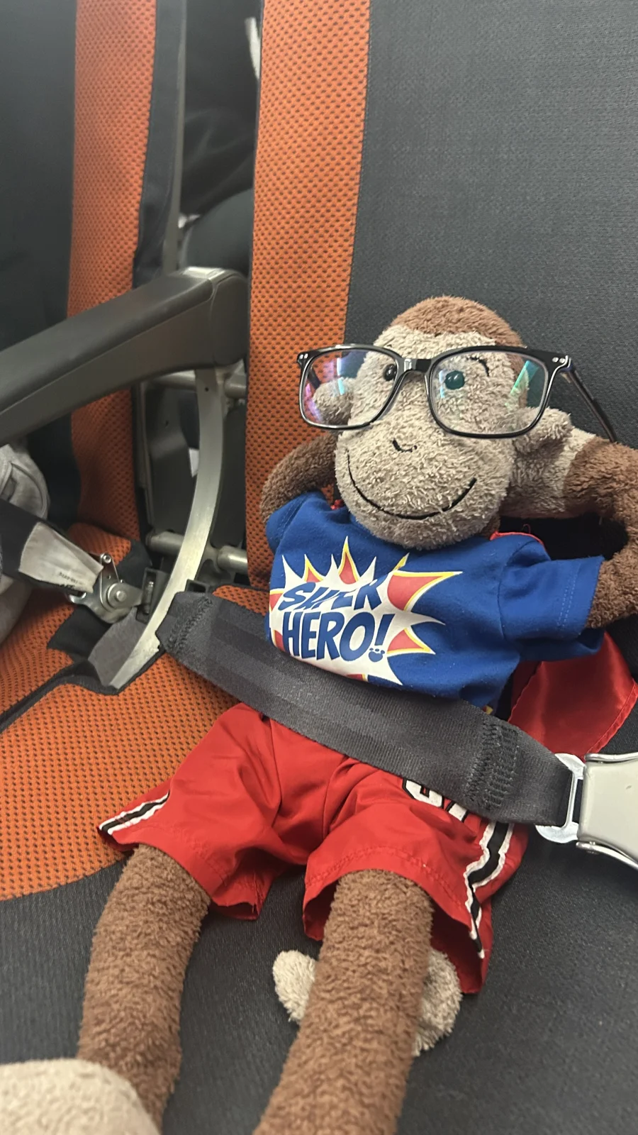 Front - Slackajack Monkey - Small photo by DemFtch