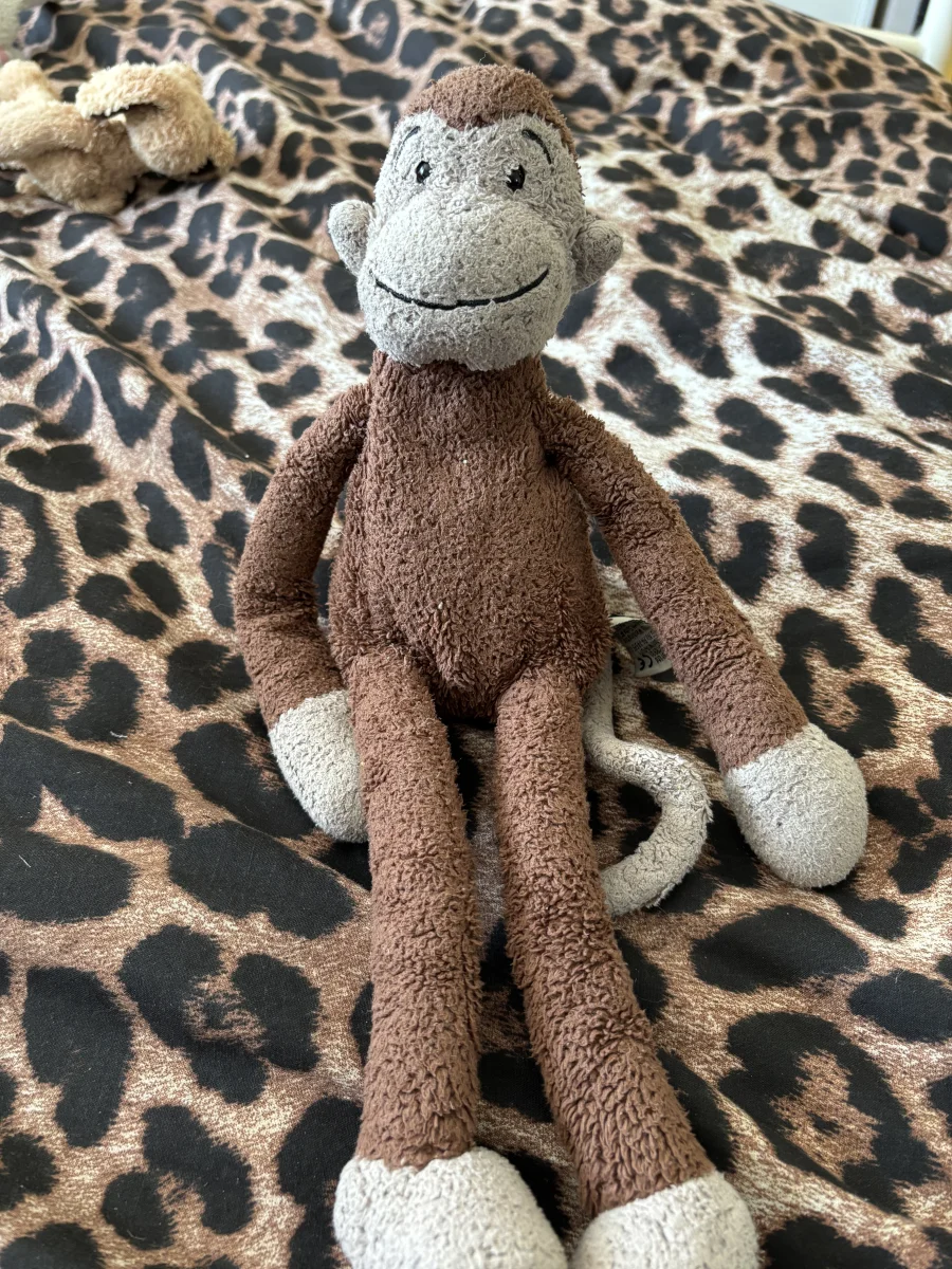 Front - Slackajack Monkey - Small photo by Emschuds