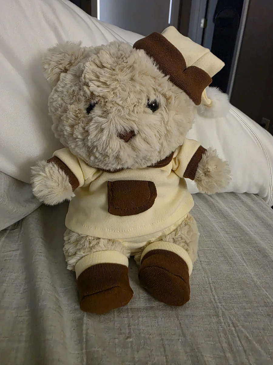 Lifestyle - Bartholomew Bear Junior photo by KaraMarchman