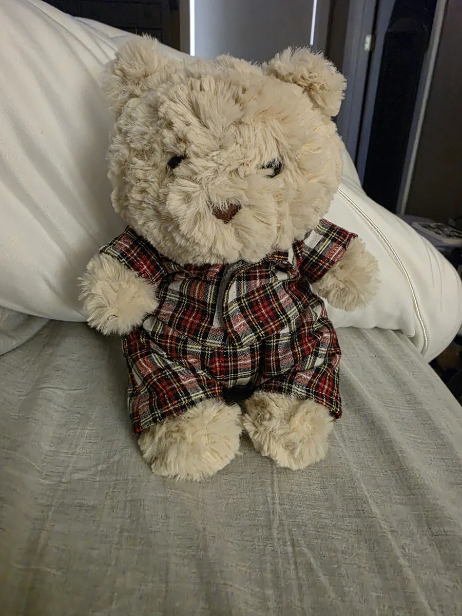 Lifestyle - Bartholomew Bear Junior photo by KaraMarchman