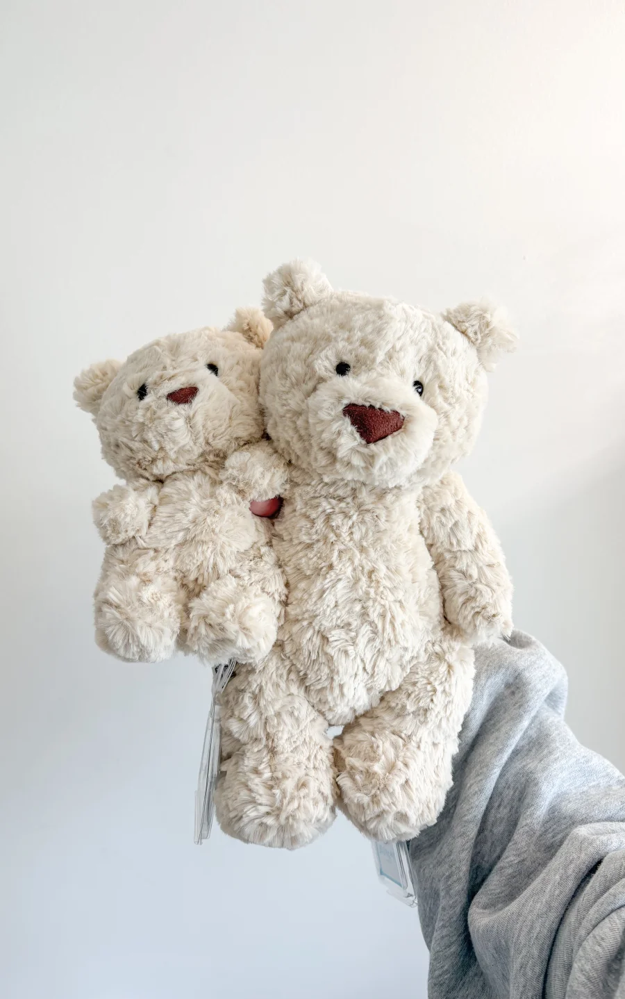Front - Bartholomew Bear Junior photo by i2uby