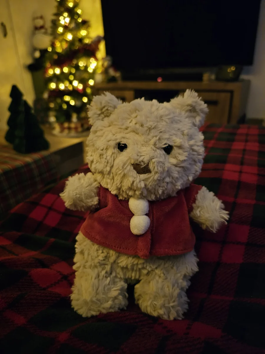Lifestyle - Bartholomew Bear Junior photo by Feroniek