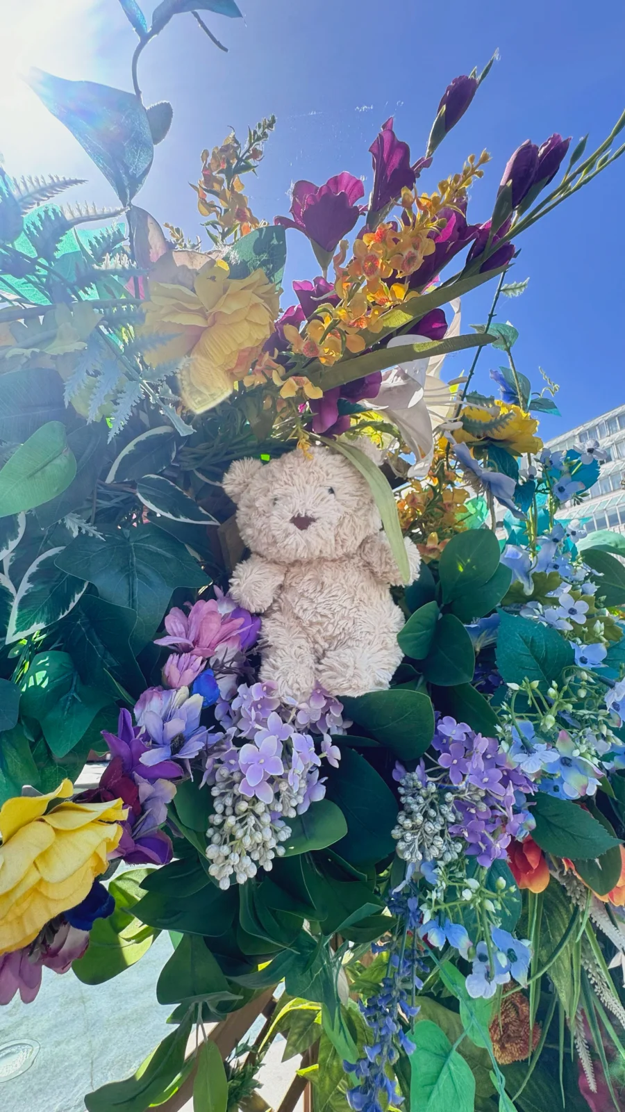 Lifestyle - Bartholomew Bear Junior photo by Sophie_jellylover