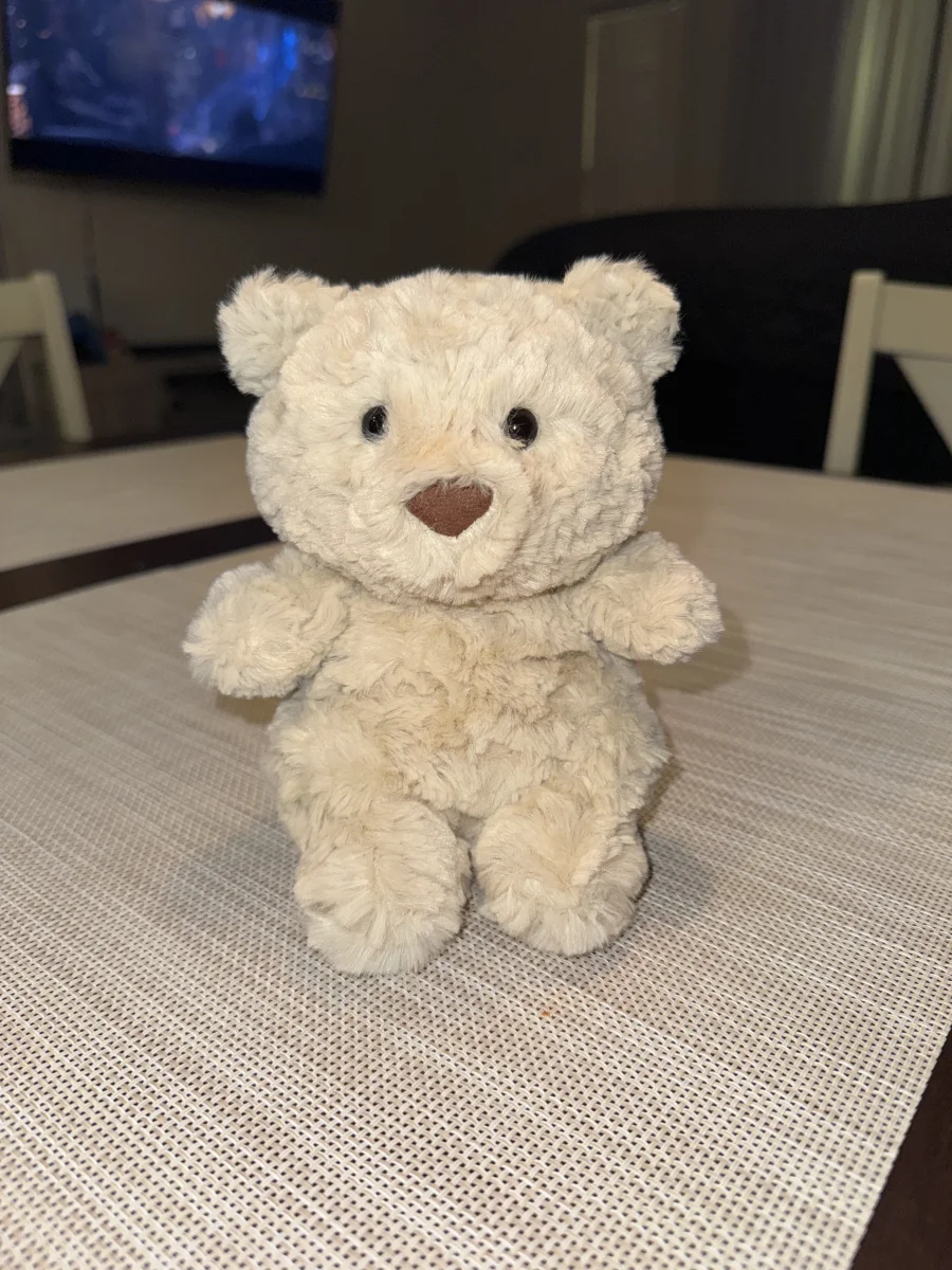 Front - Bartholomew Bear Junior photo by sophiedonovann