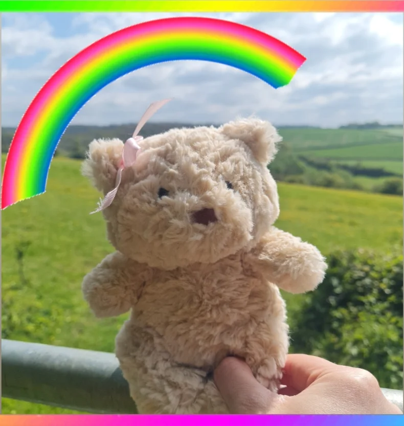 Front - Bartholomew Bear Junior photo by Ebranagh1986
