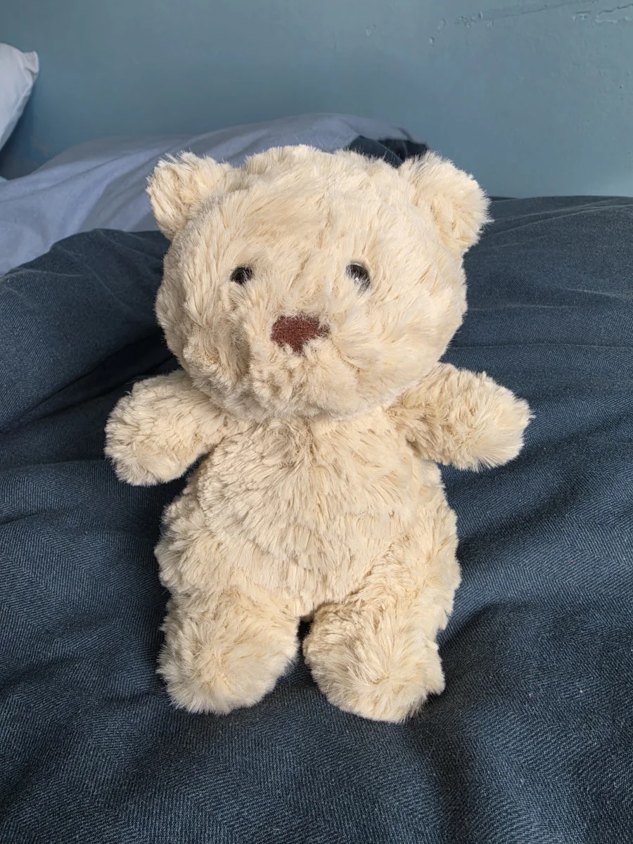 Front - Bartholomew Bear Junior photo by Kiesjellycats