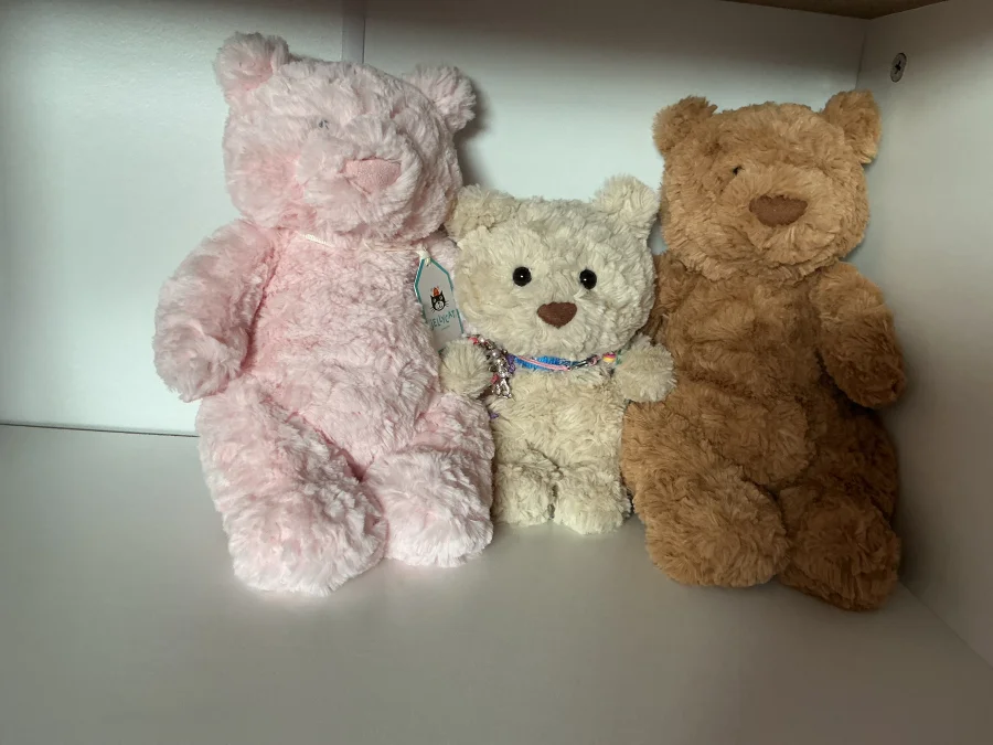 Front - Bartholomew Bear Junior photo by Asdqueen5678