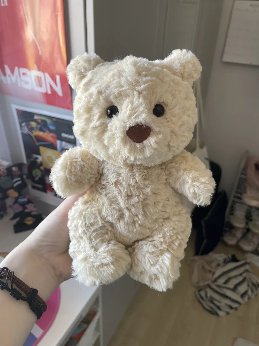 Front - Bartholomew Bear Junior photo by DarcieJ21