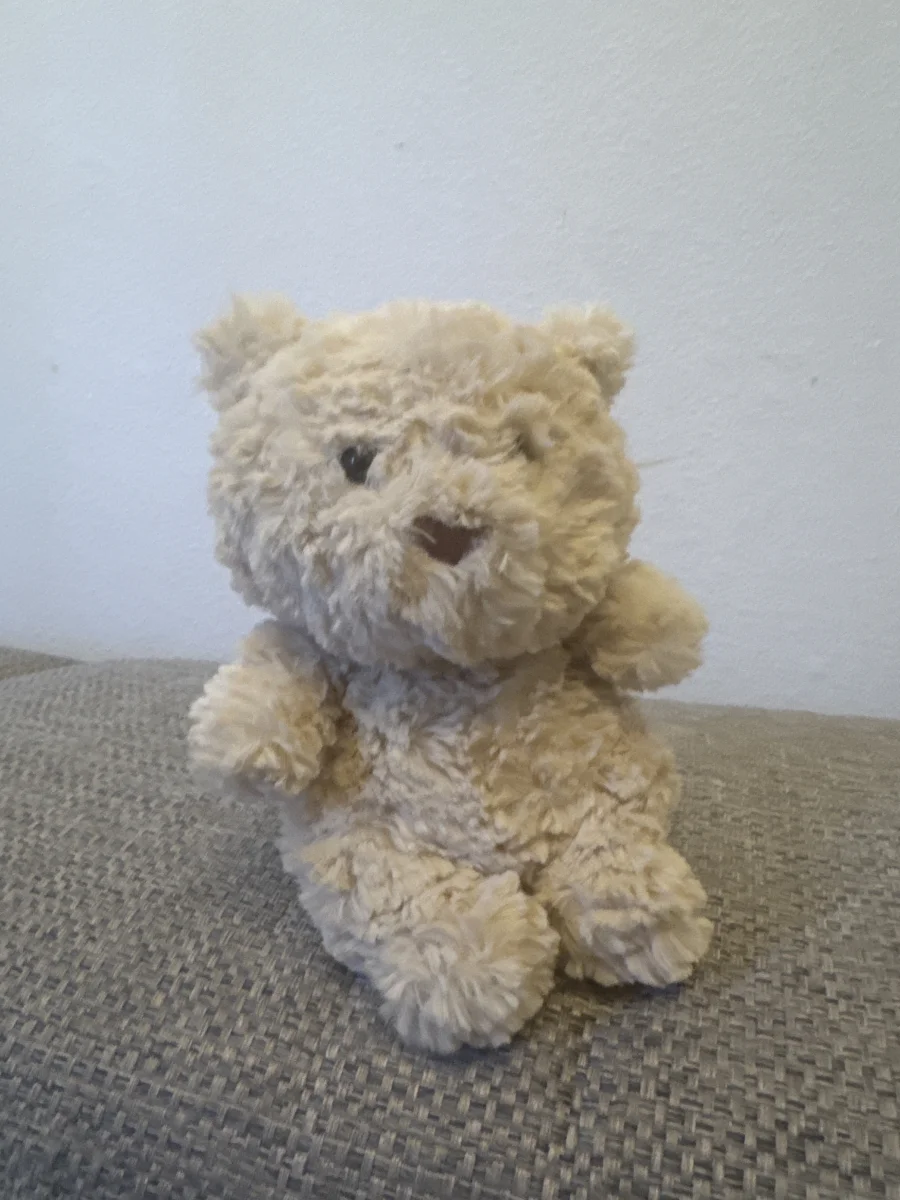 Front - Bartholomew Bear Junior photo by maryfrances23