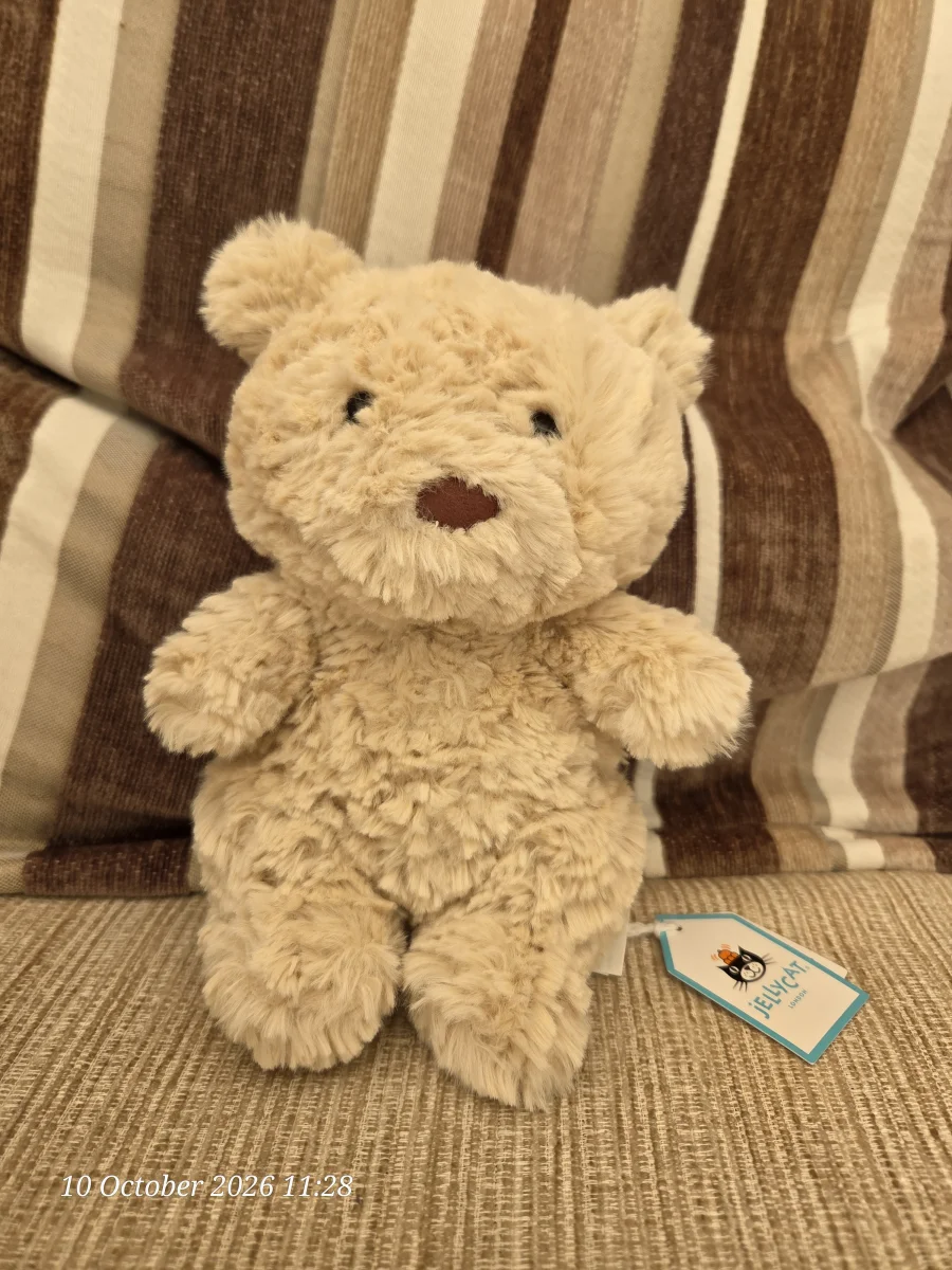 Front - Bartholomew Bear Junior photo by SJCLJelly
