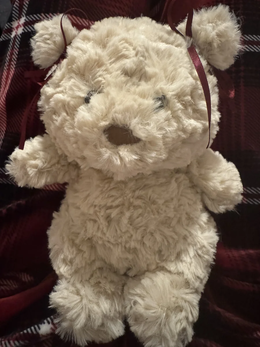 Front - Bartholomew Bear Junior photo by Sarah_81573