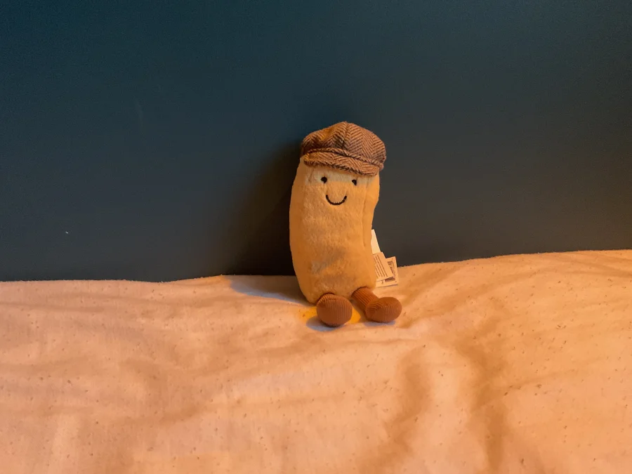 Front - Amuseables Charlie Chip 🇬🇧  photo by JELLYCAT102