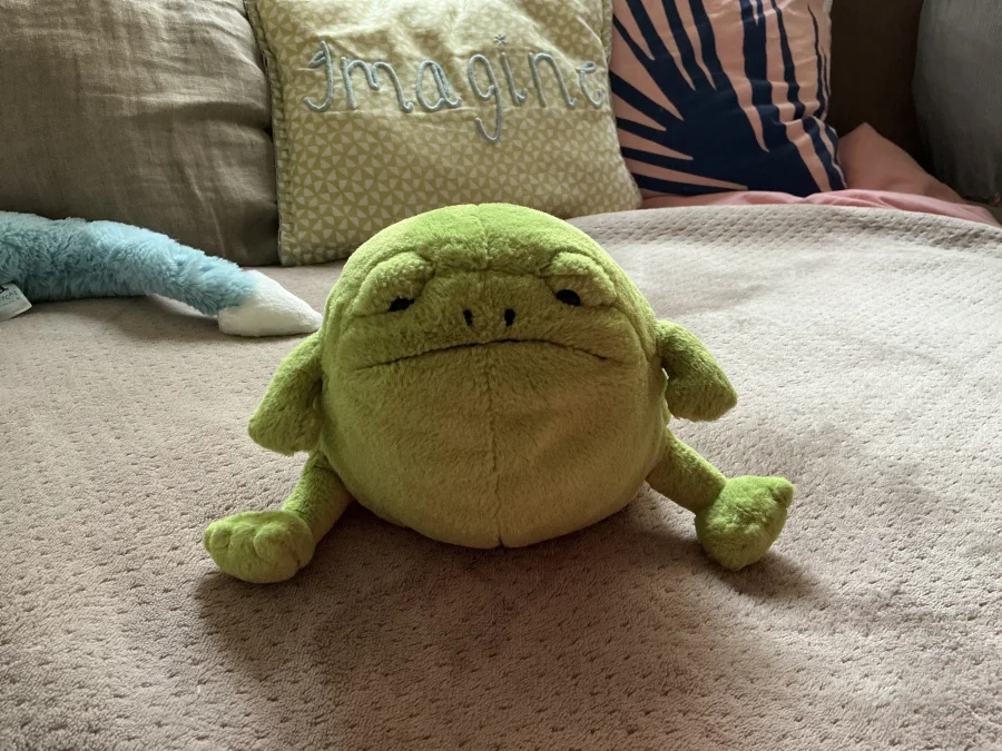 Front - Ricky Rain Frog photo by SofiaEf