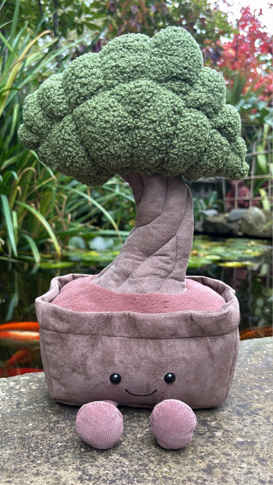 Front - Amuseables Bonsai Tree photo by Jelly_Journey
