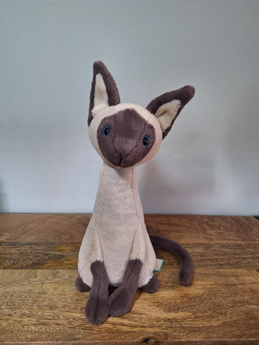 Front - Iris Siamese Cat photo by Sofie