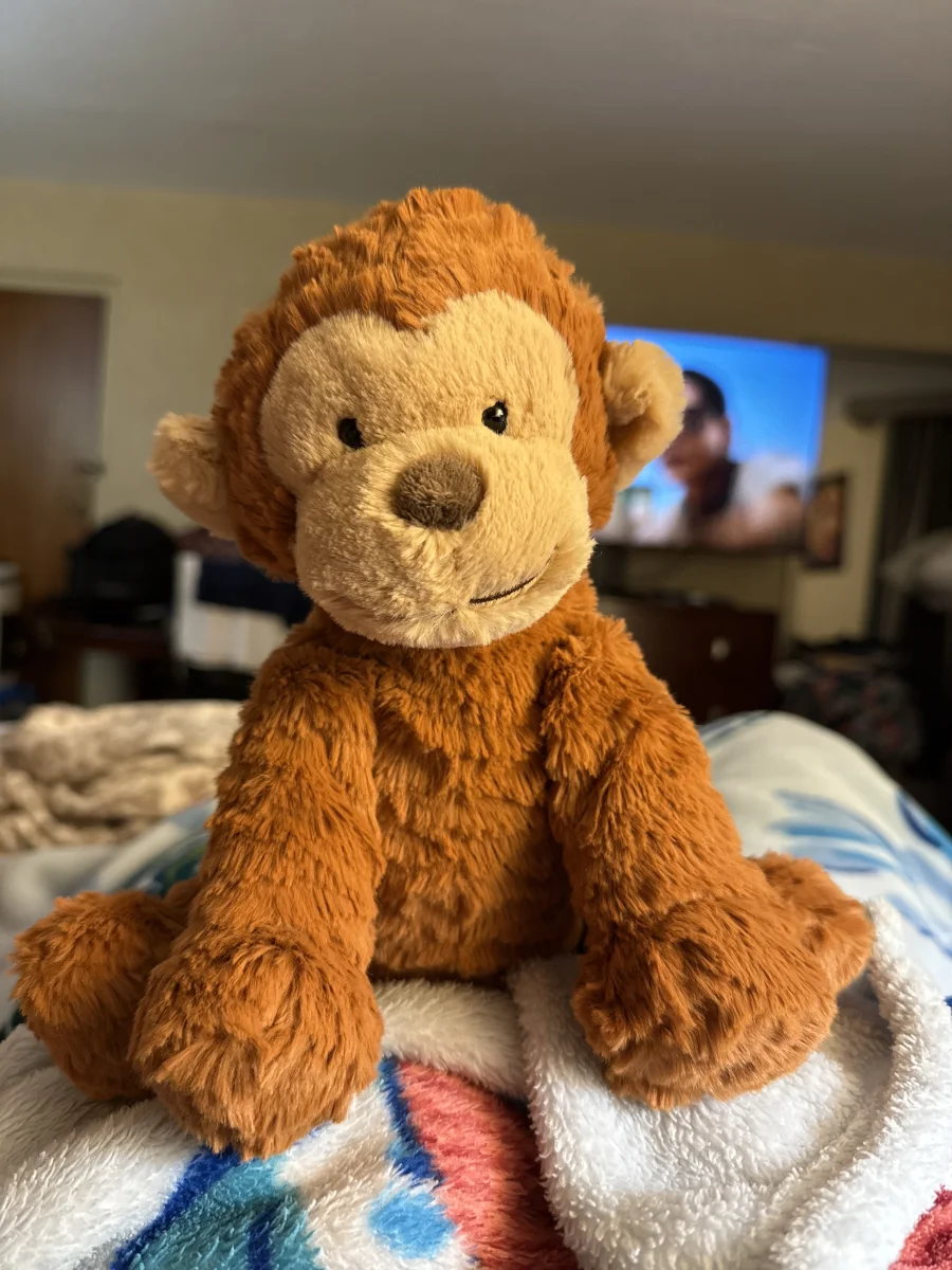 Front - Fuddlewuddle Monkey photo by meaallison