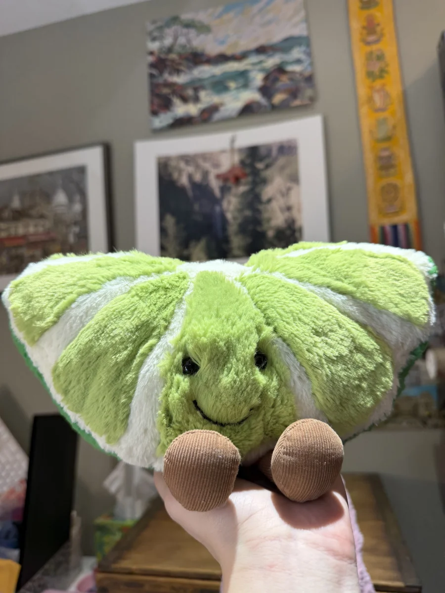 Front - Amuseables Slice of Lime photo by amandamariejelly