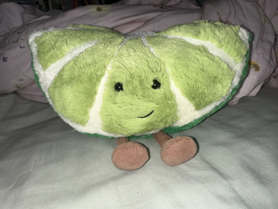 Front - Amuseables Slice of Lime photo by Talibobs16