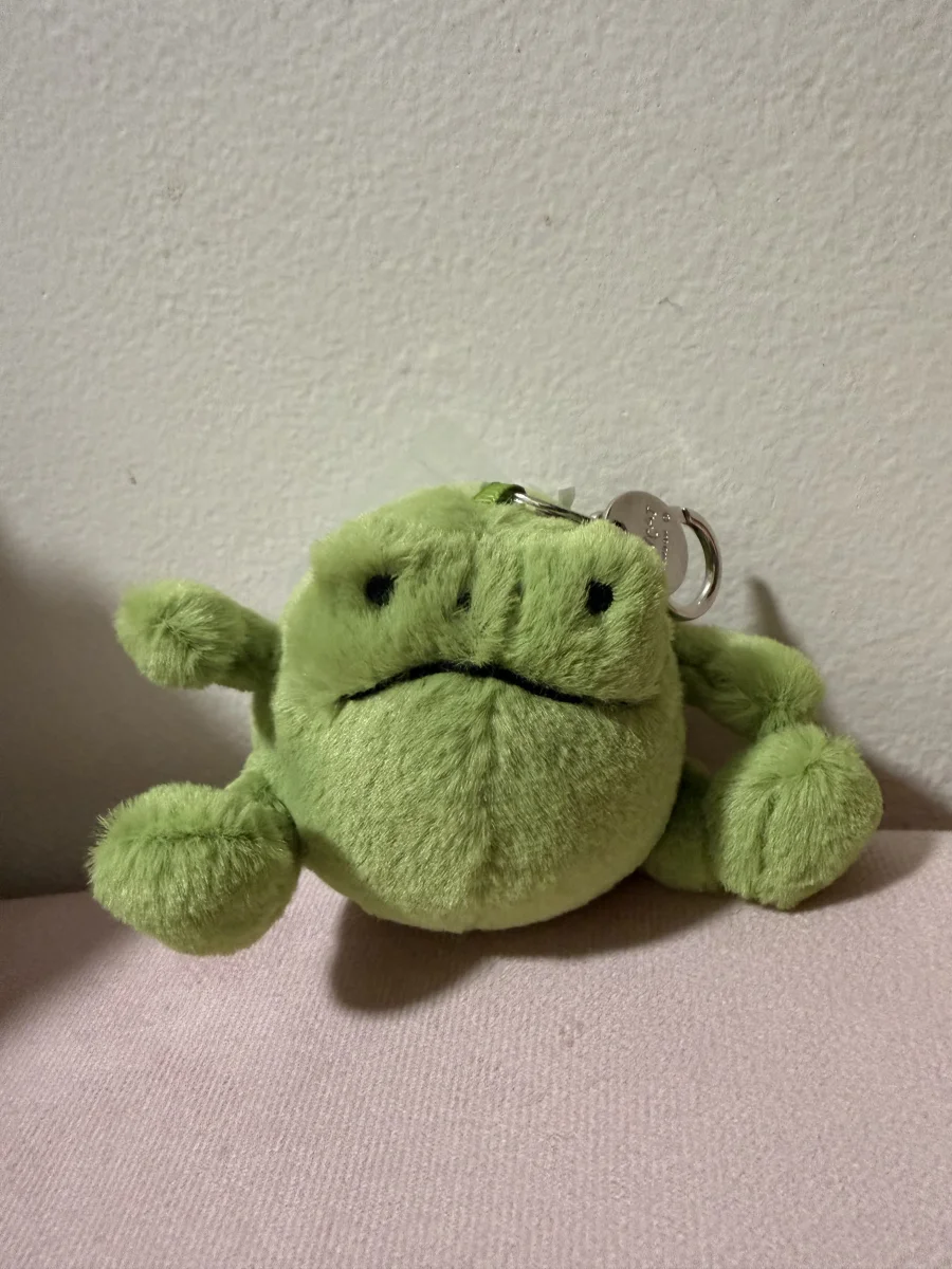 Front - Ricky Rain Frog Bag Charm photo by katsjellies