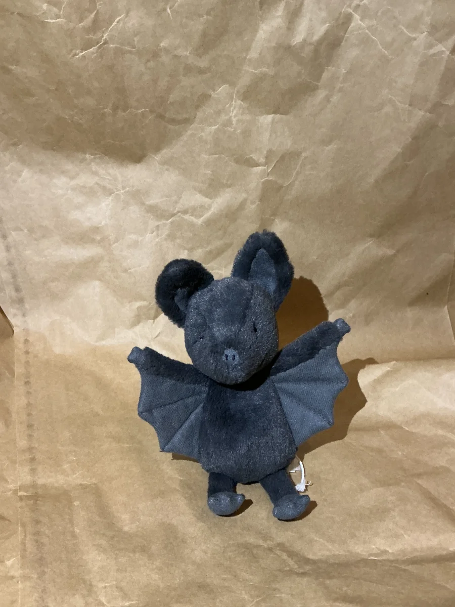 Front - Ooky Bat photo by Mary2_2