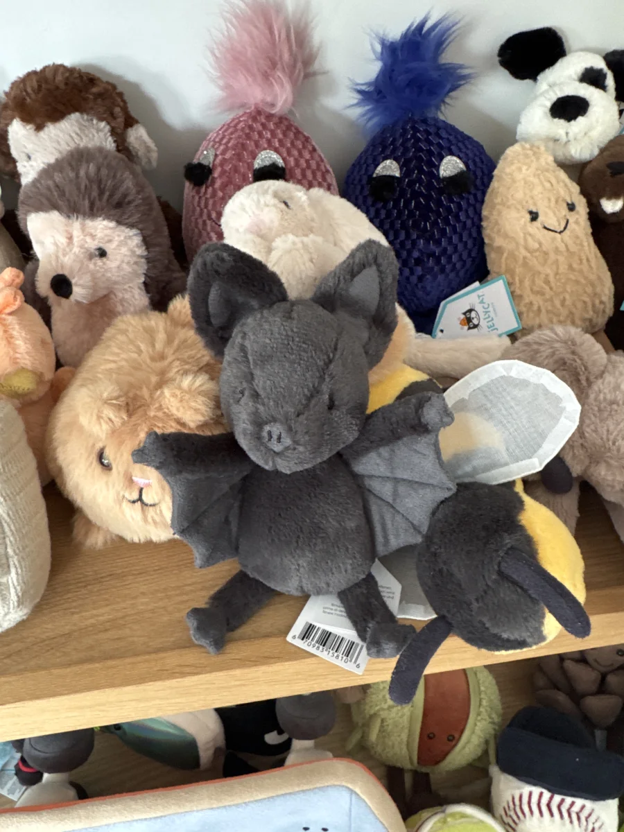 Front - Ooky Bat photo by Trace