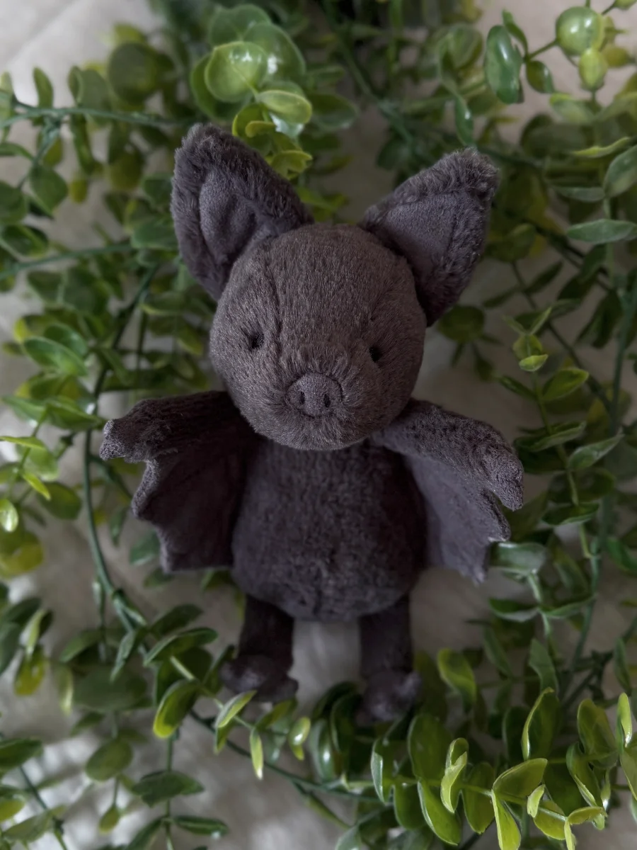 Front - Ooky Bat photo by todaysobsessionis