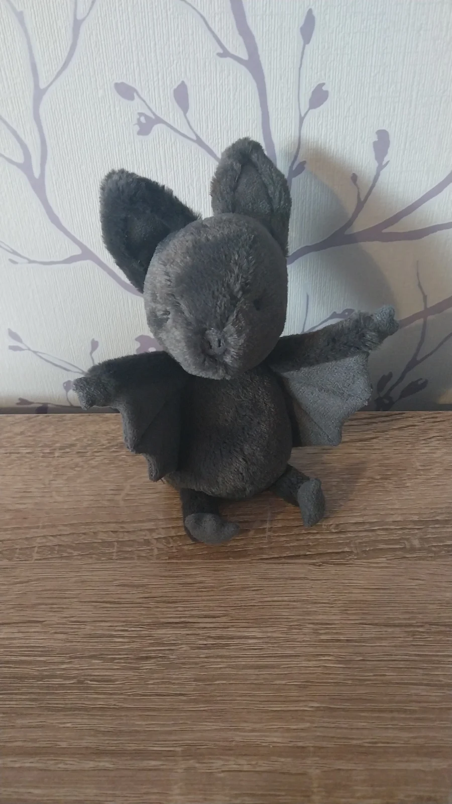 Front - Ooky Bat photo by Hope_Collectablez