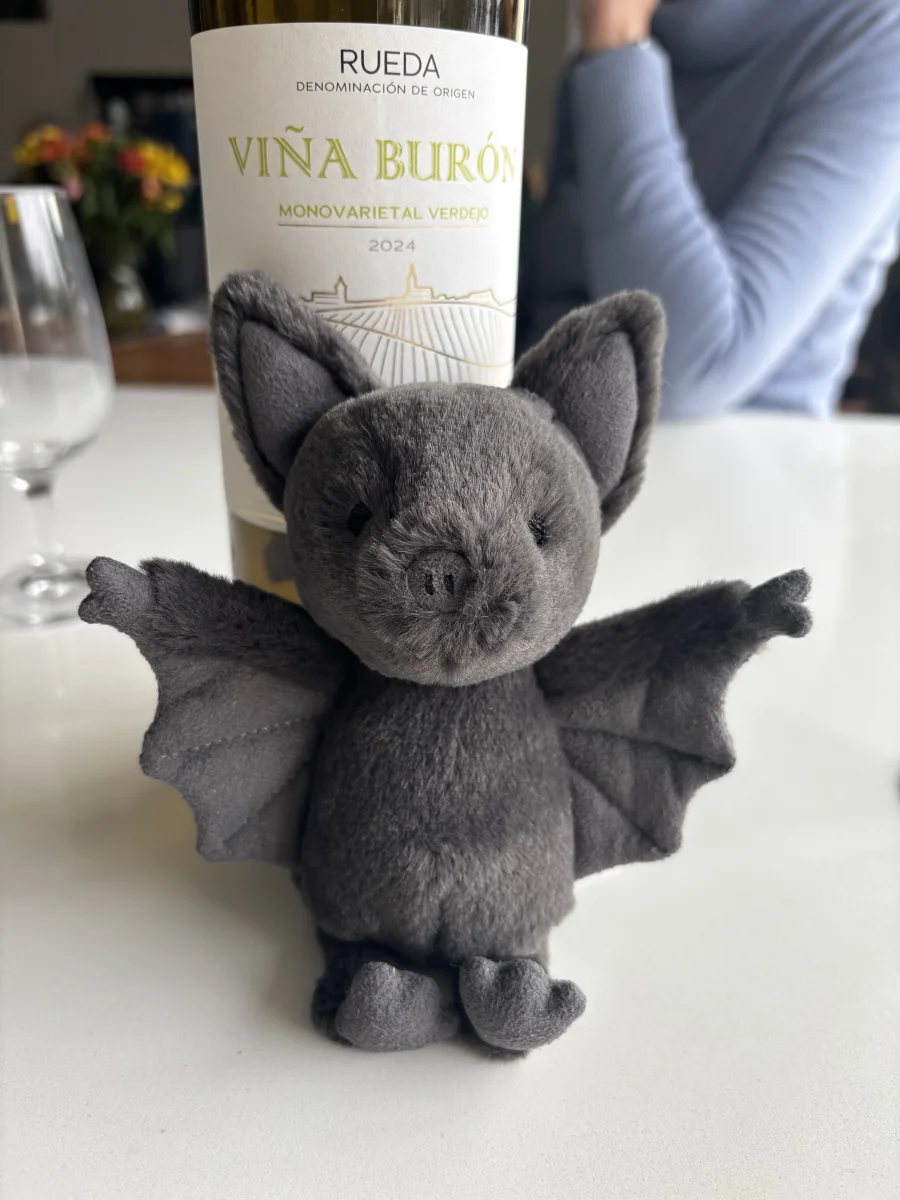 Front - Ooky Bat photo by monki123