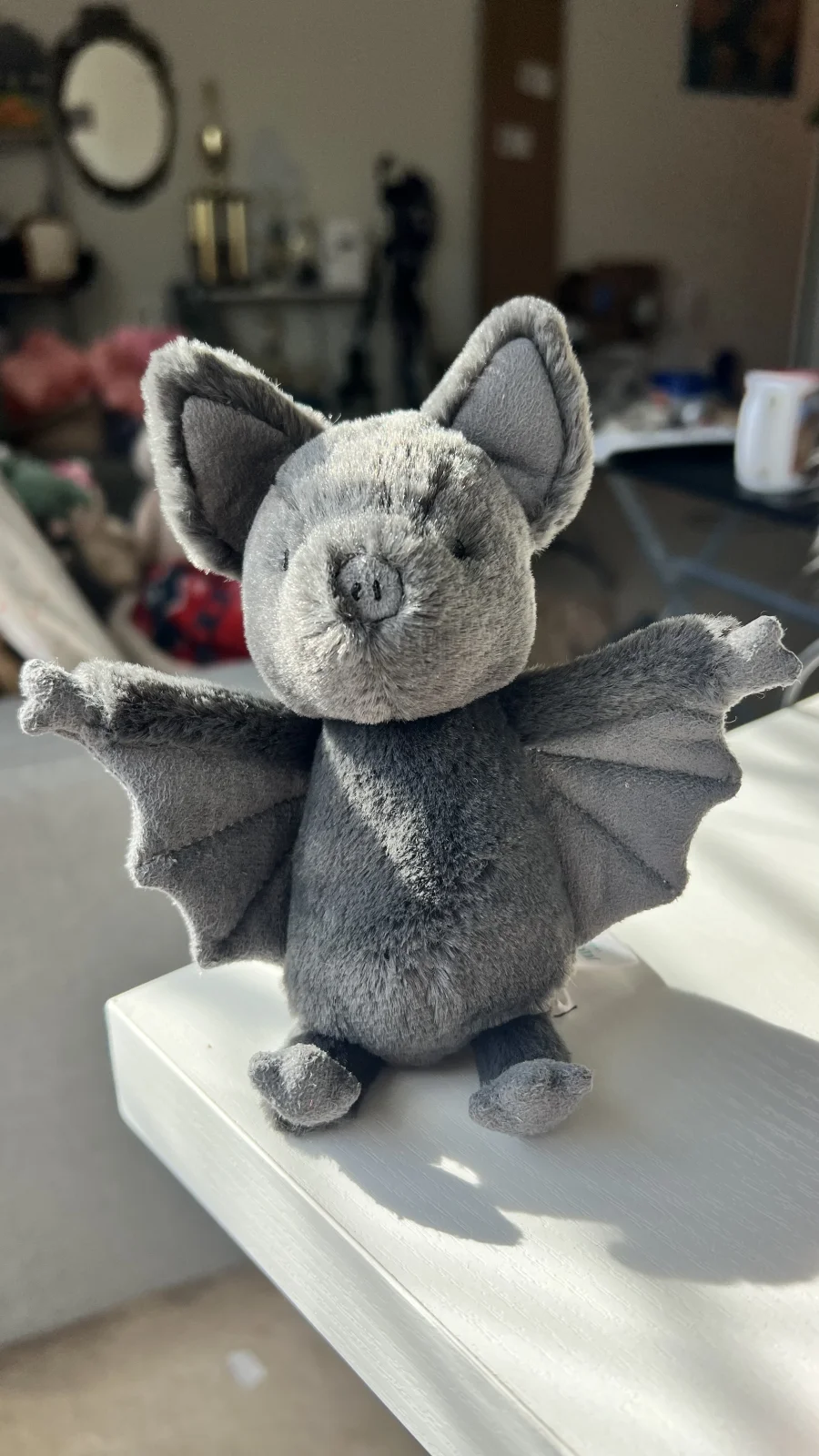 Front - Ooky Bat photo by bronzieandthejellies