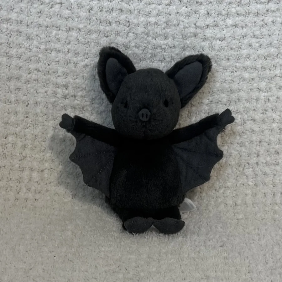 Front - Ooky Bat photo by crim
