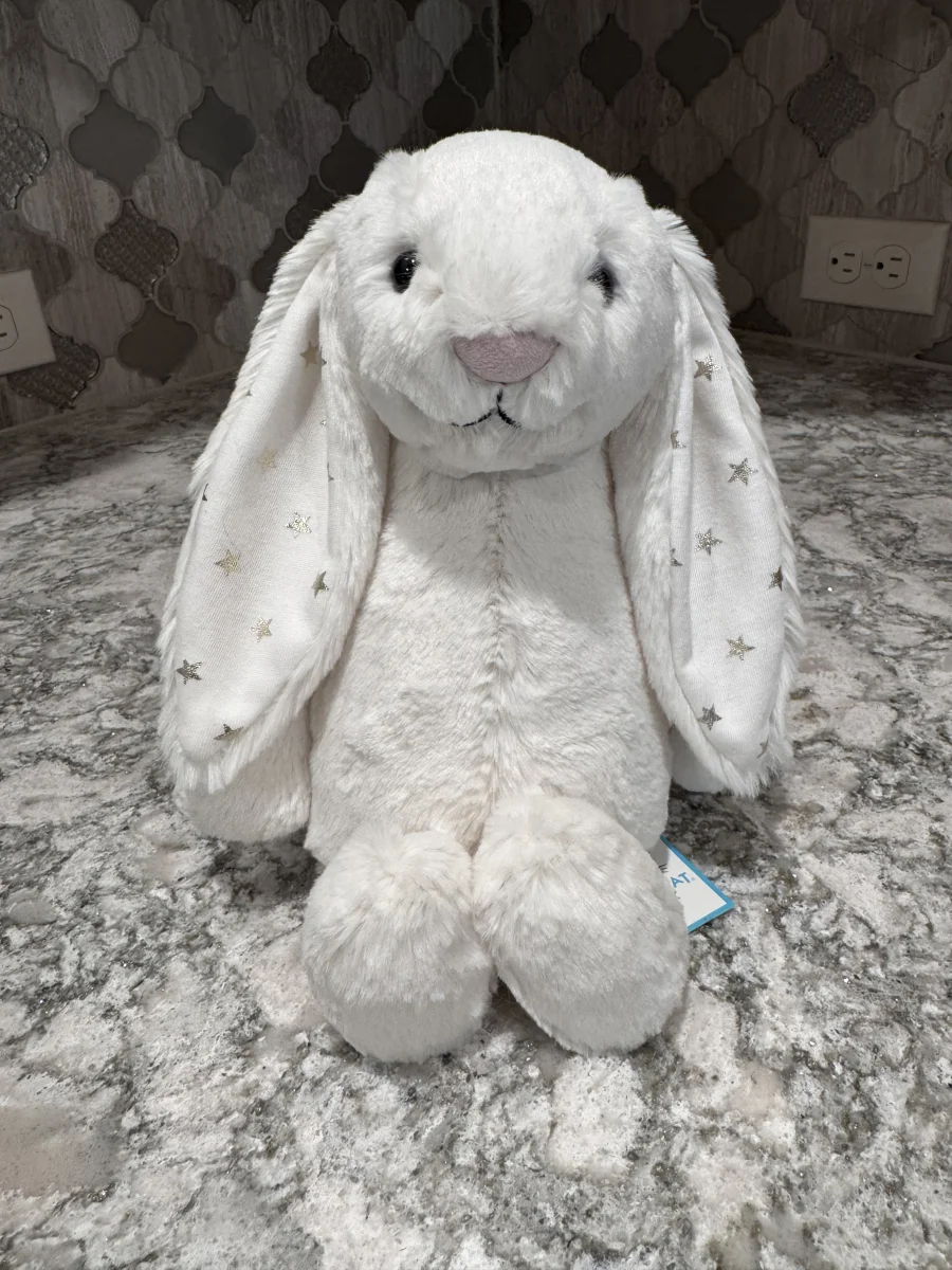 Front - Bashful Twinkle Bunny - Medium photo by SnowLeopard821