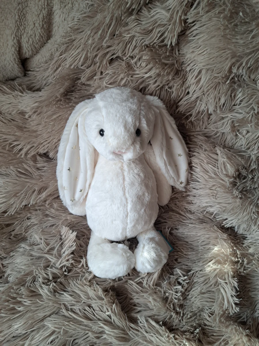 Front - Bashful Twinkle Bunny - Medium photo by Jellycat_Nina