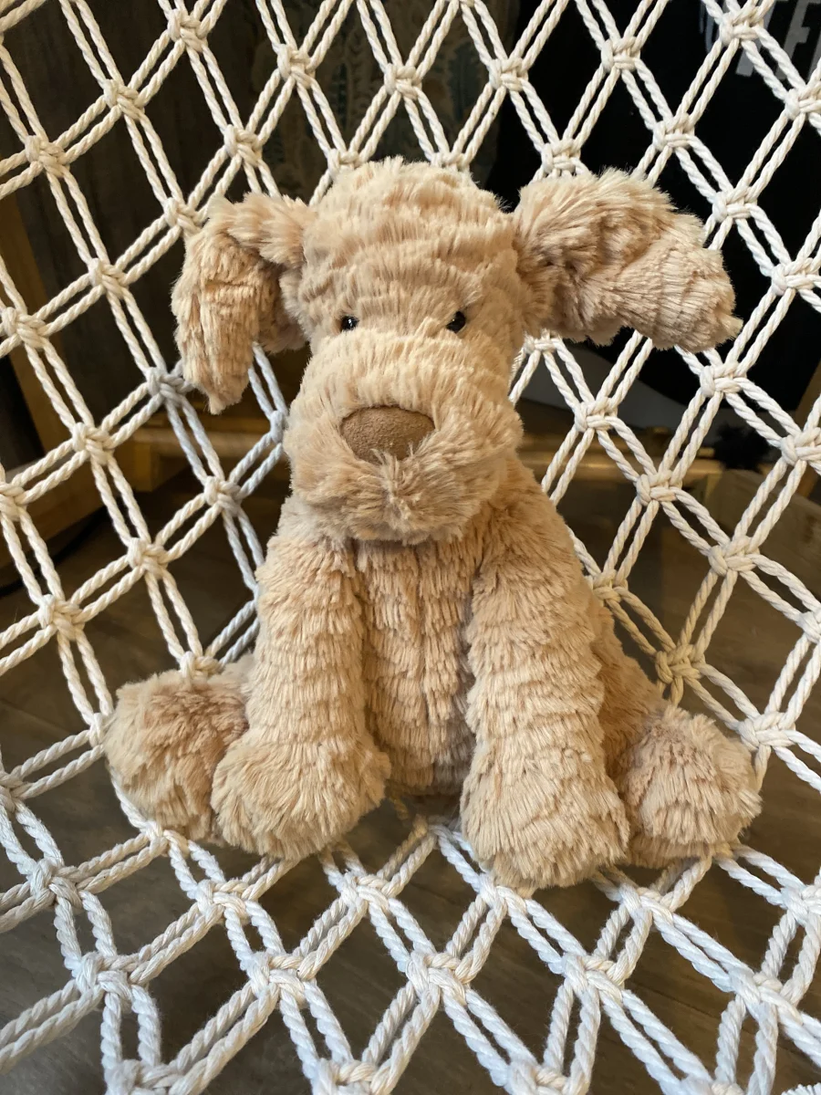 Front - Fuddlewuddle Puppy - Medium photo by My_Jellybeans