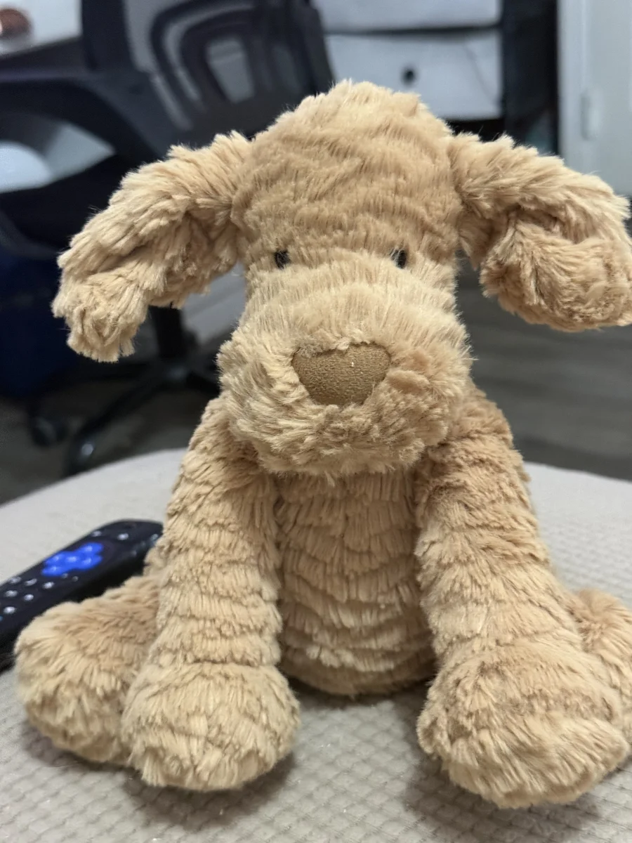 Front - Fuddlewuddle Puppy - Medium photo by Casapage