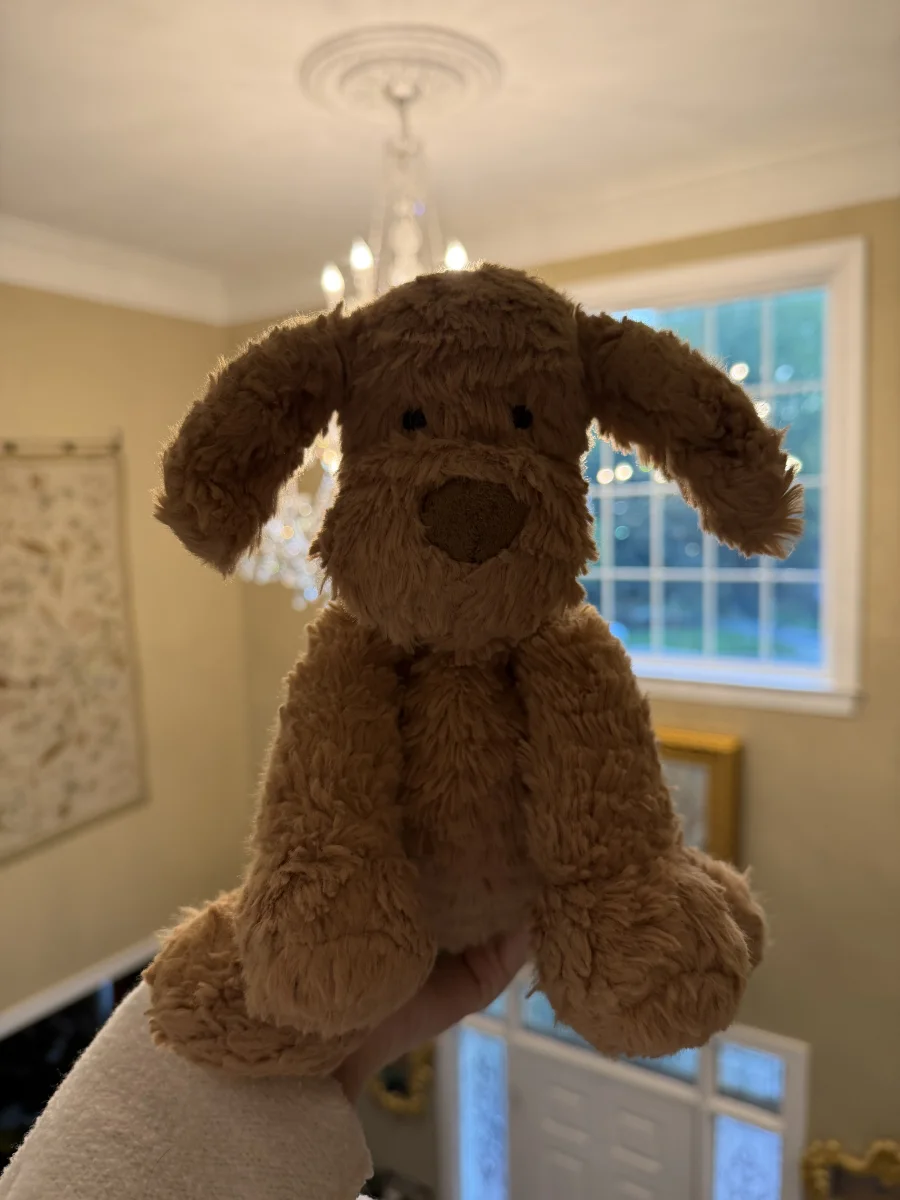Front - Fuddlewuddle Puppy - Medium photo by amandamariejelly