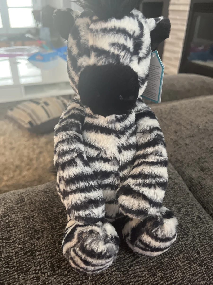 Front - Bashful Zebra photo by Bailey2012