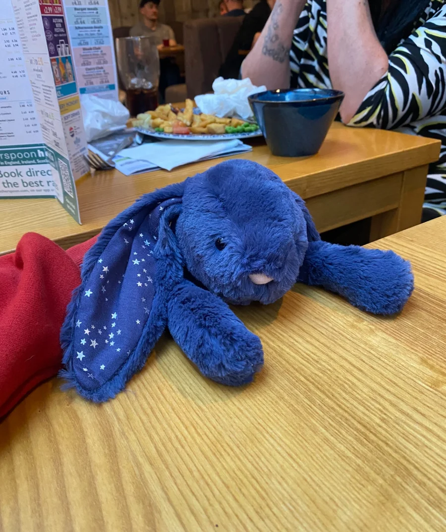 Lifestyle - Bashful Stardust Bunny - Medium photo by Leah_Sykess