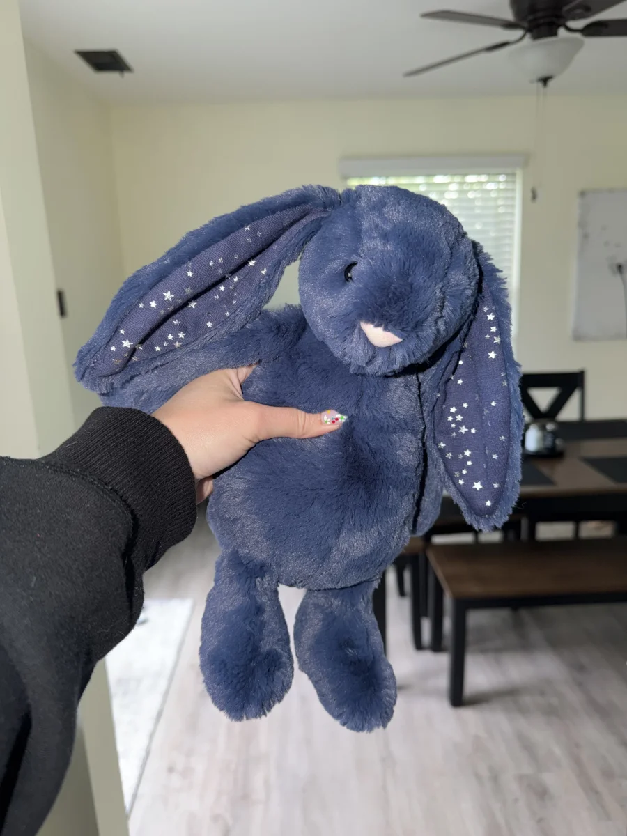 Front - Bashful Stardust Bunny - Medium photo by alinsey
