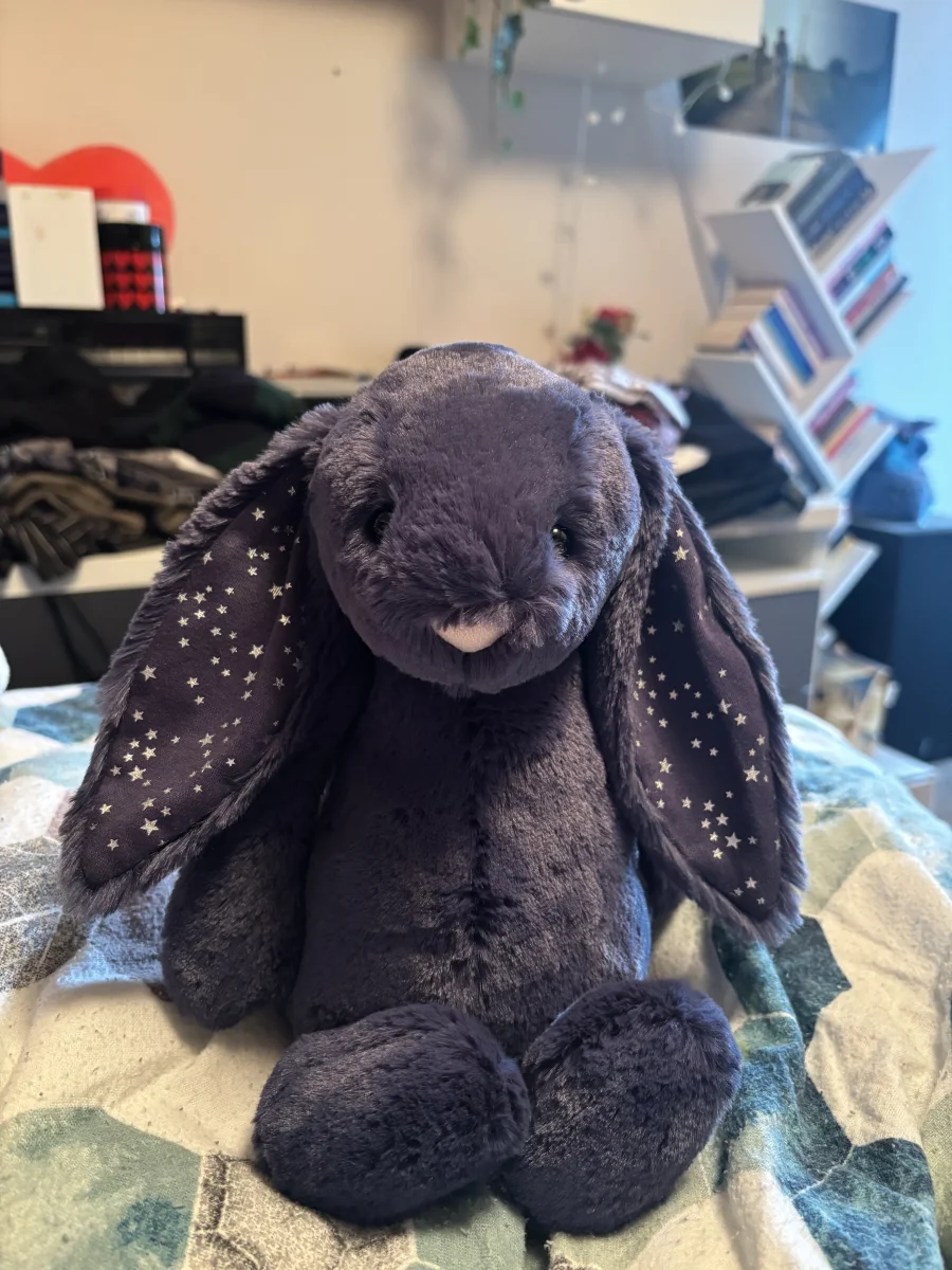 Front - Bashful Stardust Bunny - Medium photo by monki123