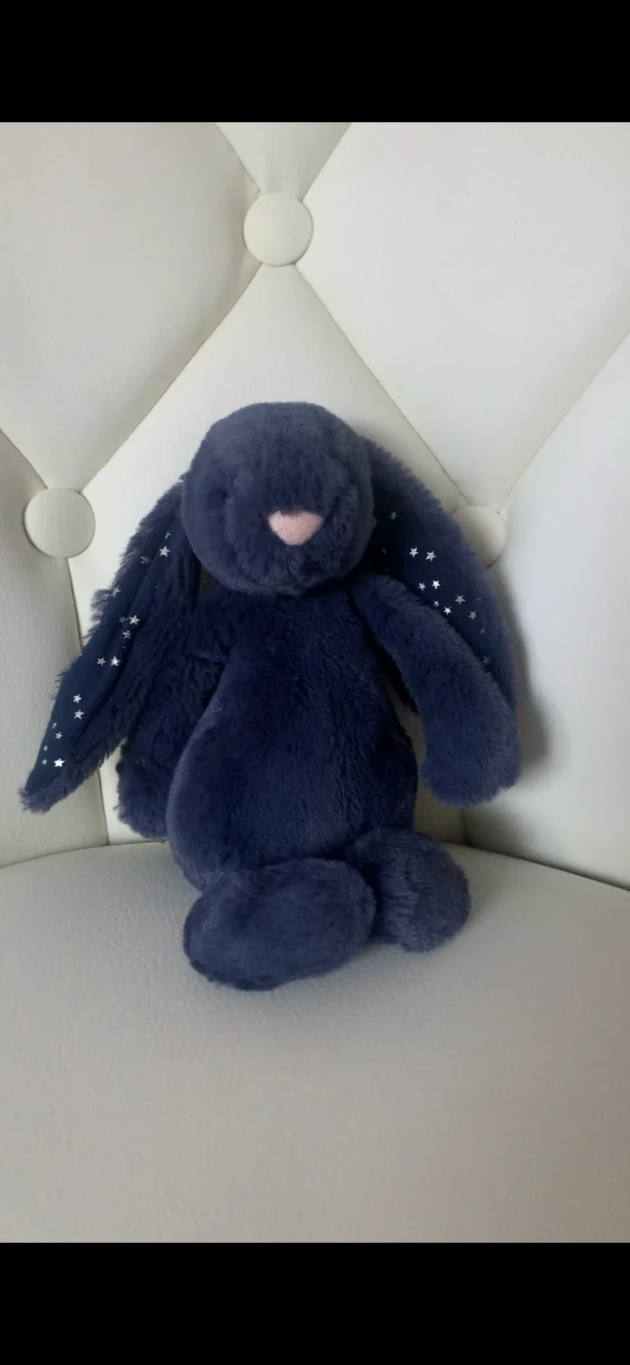 Front - Bashful Stardust Bunny - Small photo by its.amb3rrx