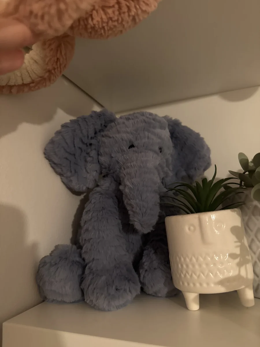 Front - Fuddlewuddle Elephant - Medium photo by SophJG09