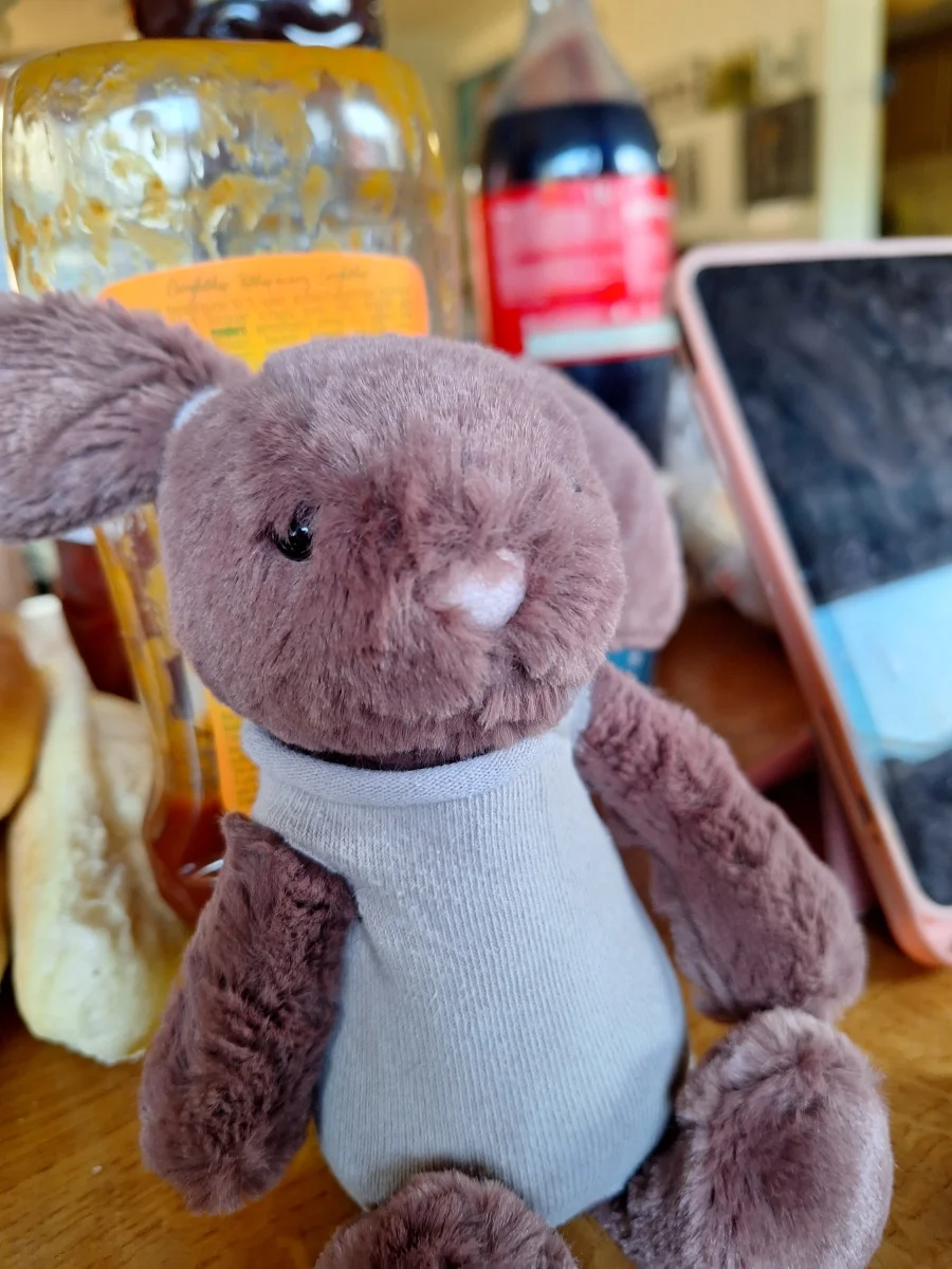 Front - Bashful Fudge Bunny photo by Lisaaa