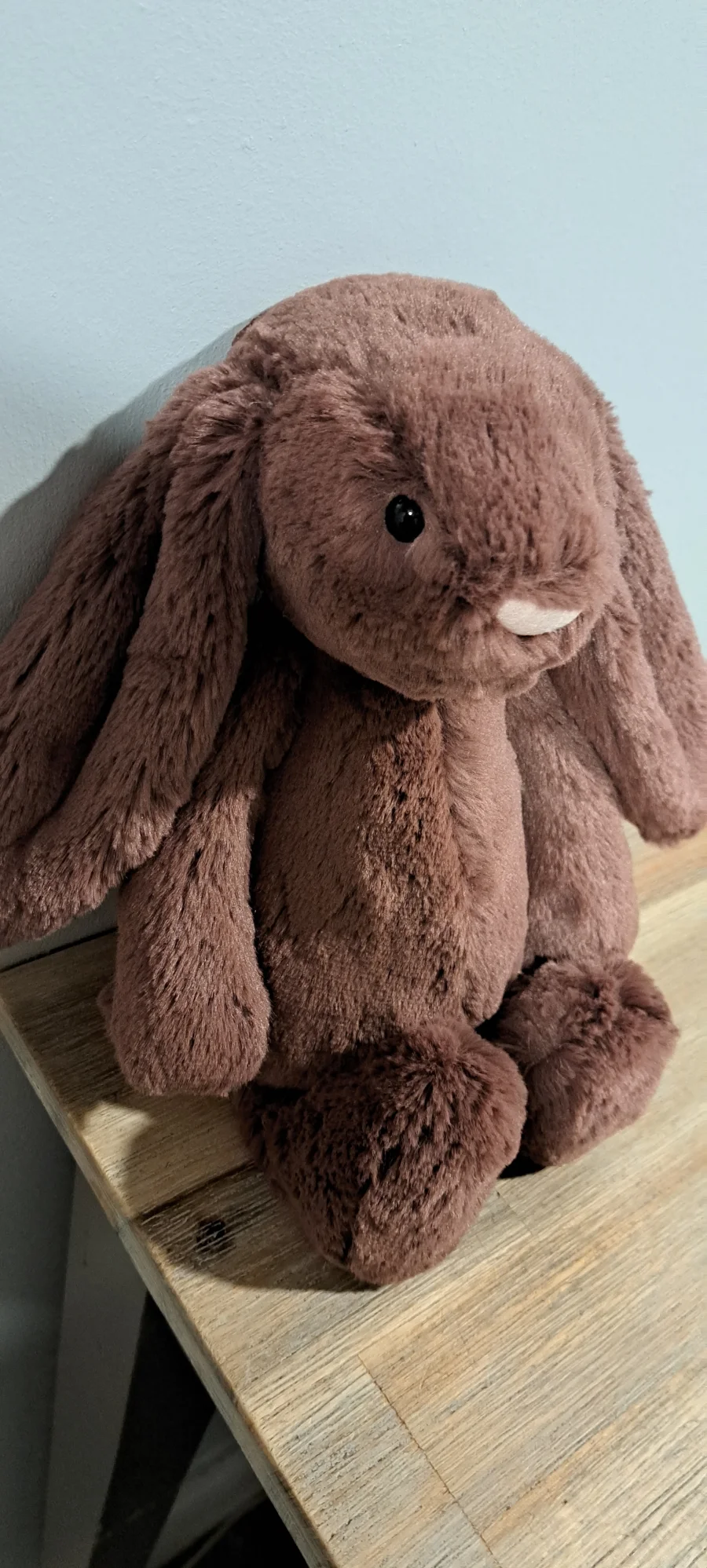 Front - Bashful Fudge Bunny photo by Lue