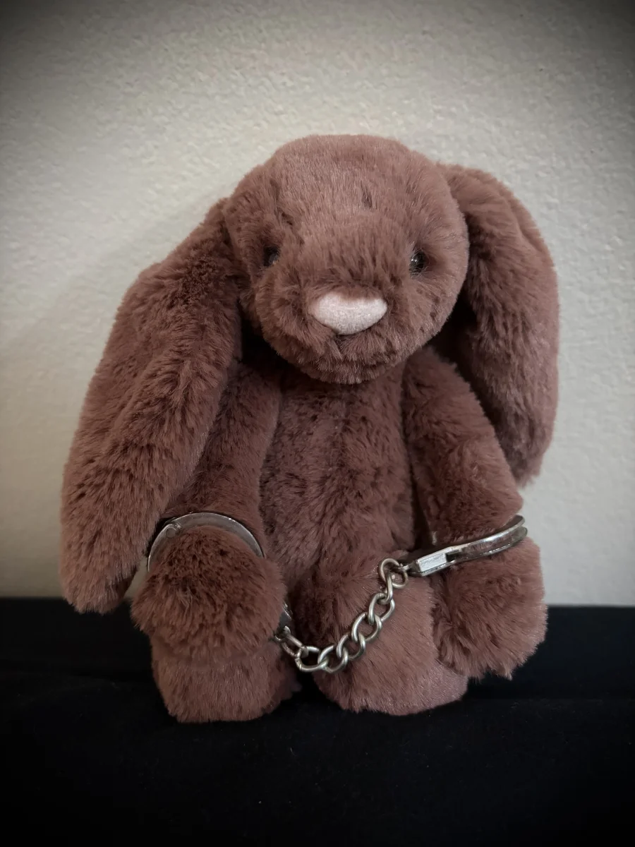 Front - Bashful Fudge Bunny - Small photo by Neenishh