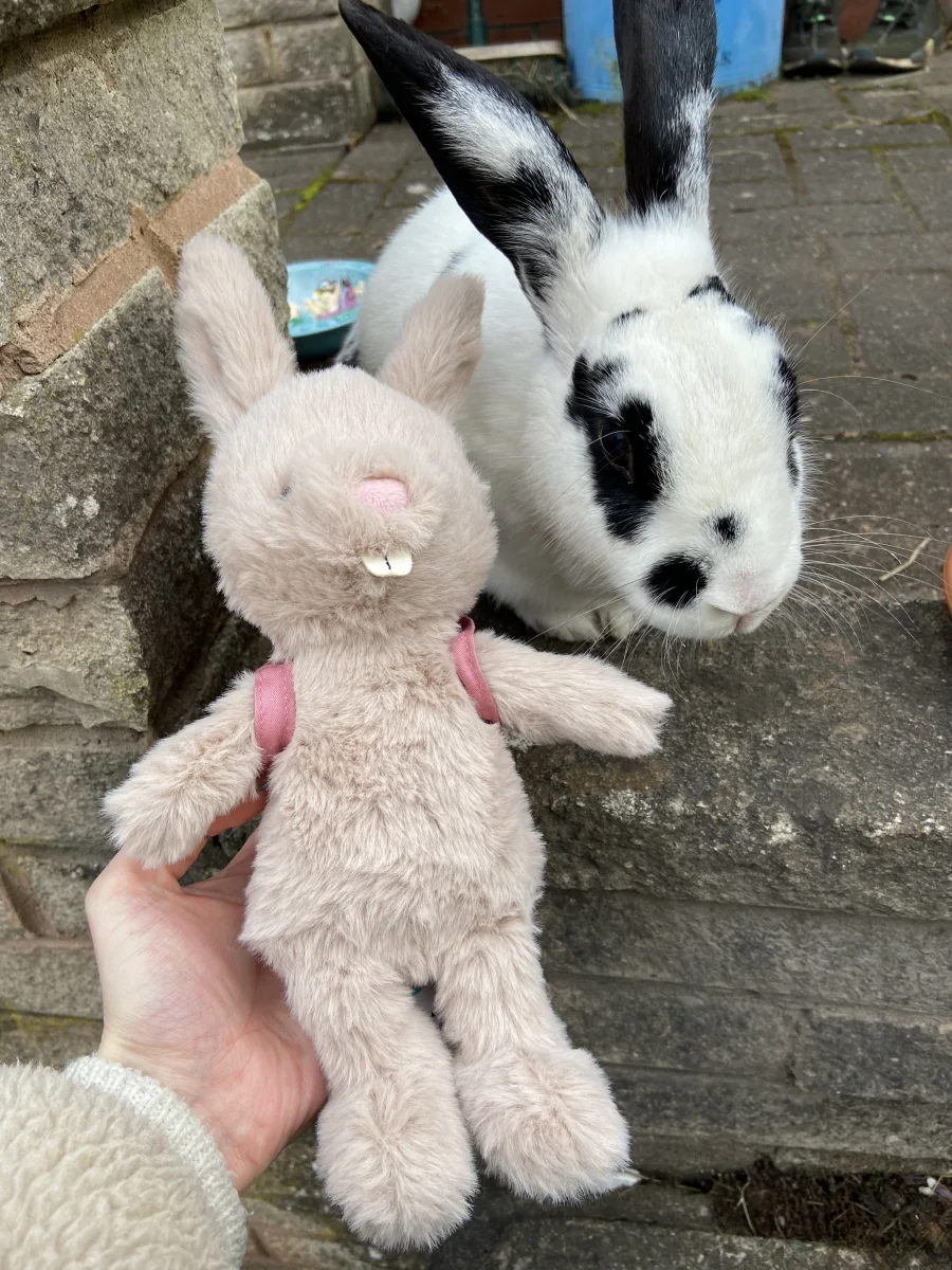 Front - Backpack Bunny photo by Chlo_jayde