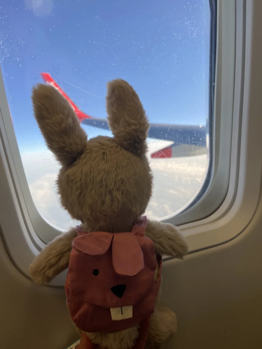 Back - Backpack Bunny photo by Chlo_jayde