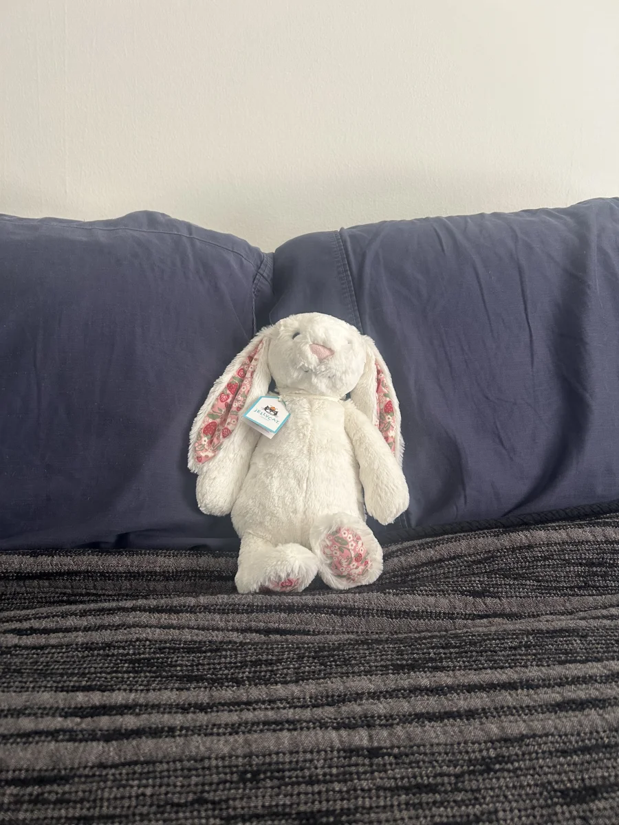 Front - Blossom Cream Bunny 'Berry' - Medium photo by KarMill02