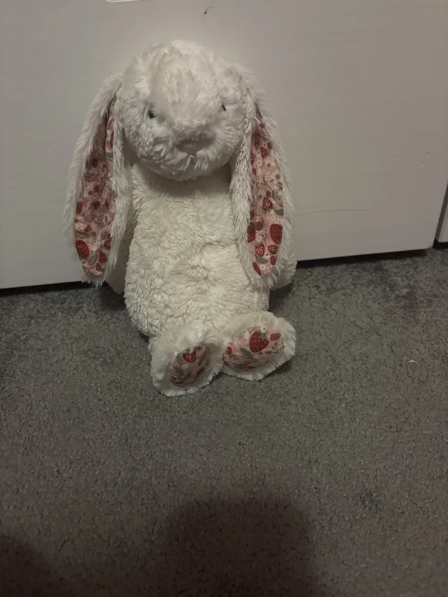 Front - Blossom Cream Bunny 'Berry' - Medium photo by darcyy12