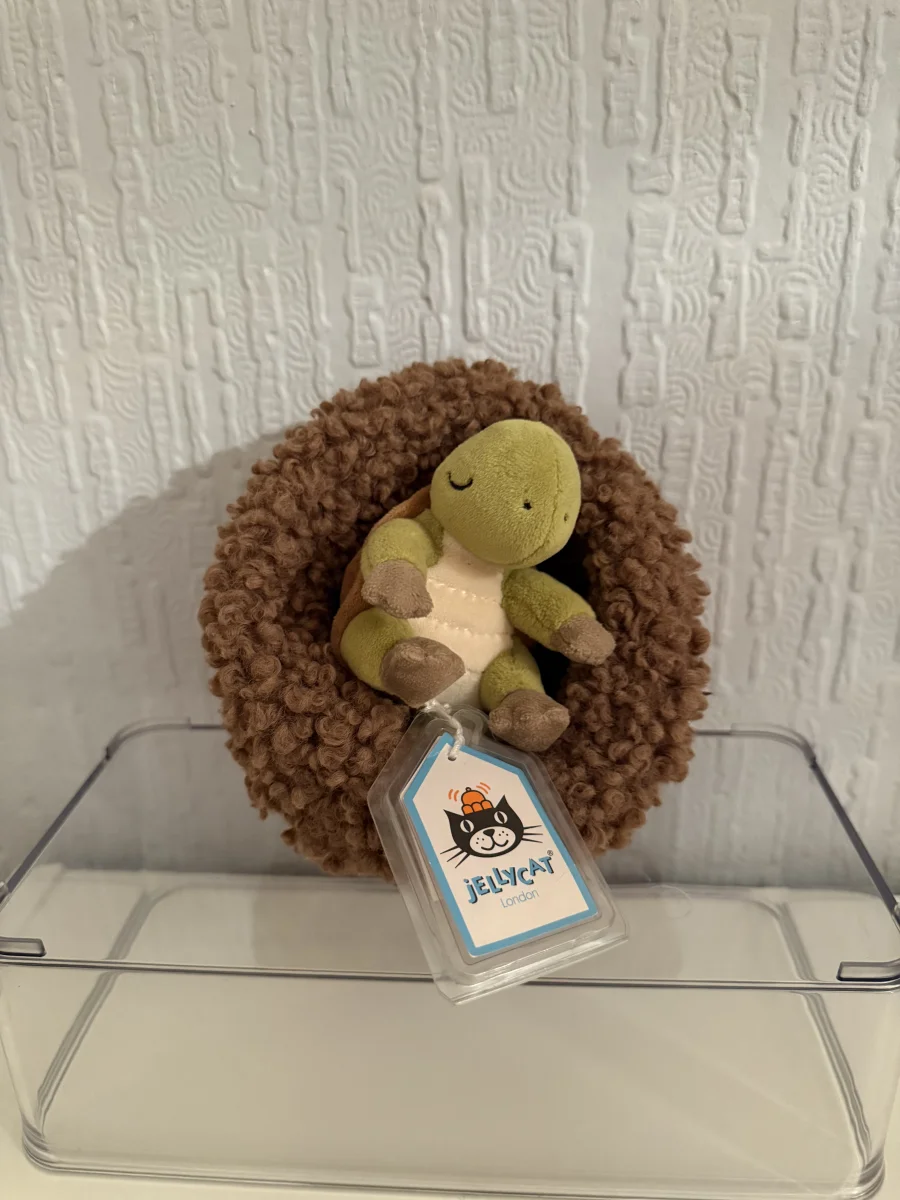 Front - Hibernating Tortoise photo by Bethanyxox